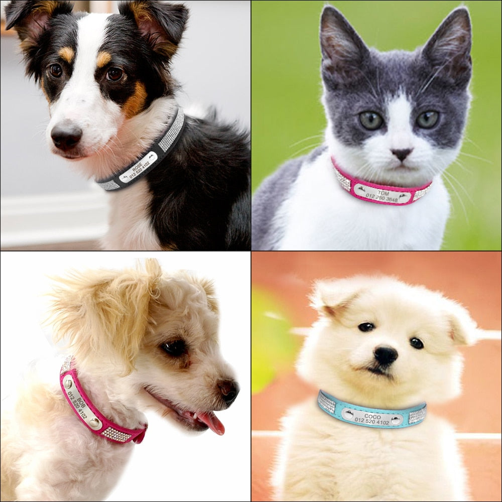 TreuePfote™ Luxus-Halsband – Wildleder mit Strass, personalisiert für Hunde & Katzen